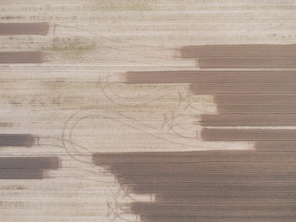 Ief 220323 Sint Kruis 0016