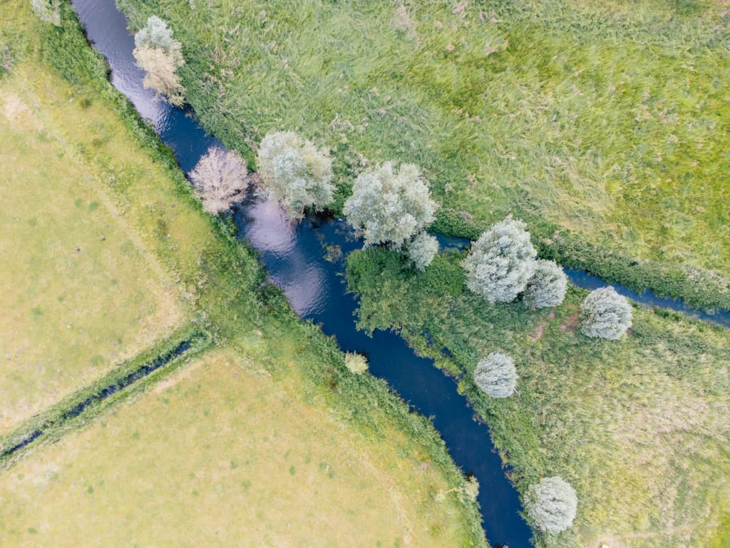 Ief 220528 Vallei Oude Kale 0080