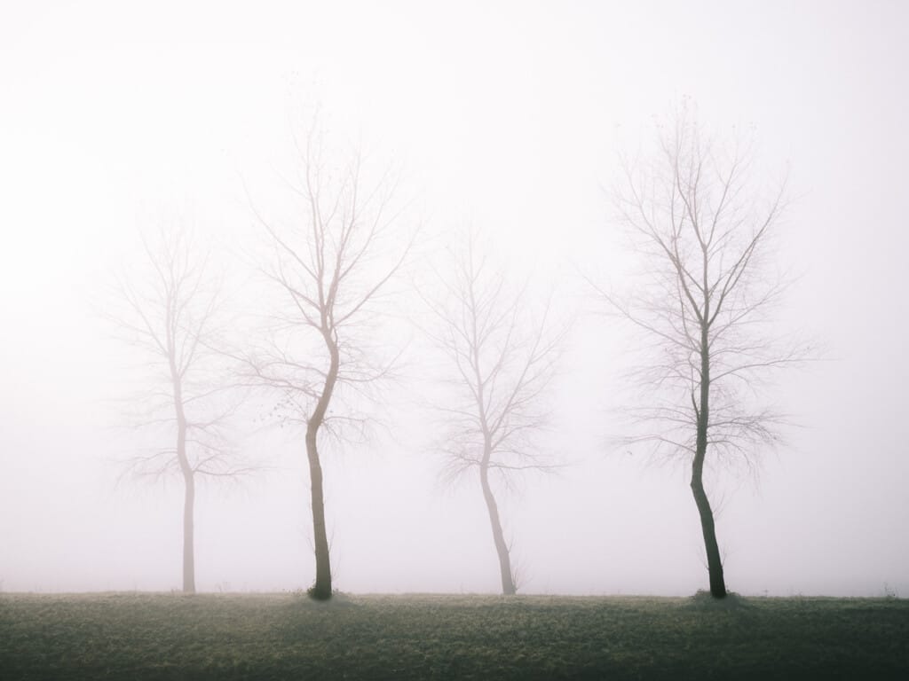 Ief 221113 Krekengebied 5419