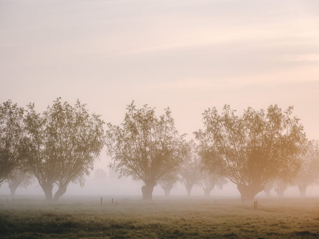 Ief 240510 Oude Kale Vallei 0680