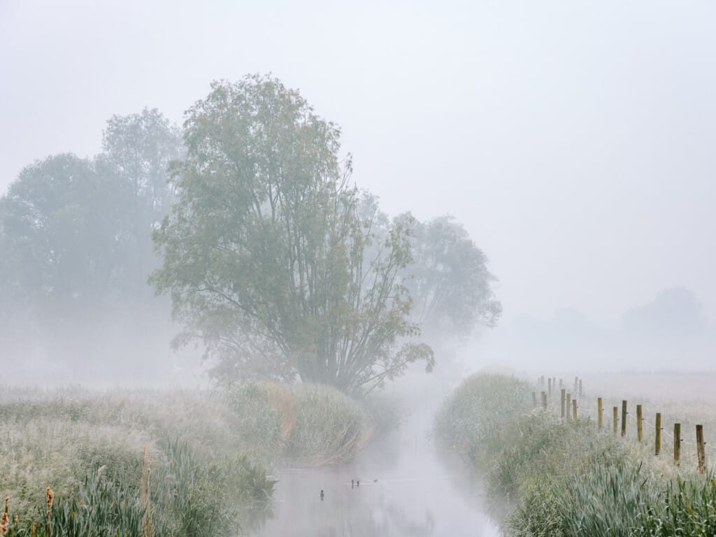 Ief 240520 Langermeersen 0848