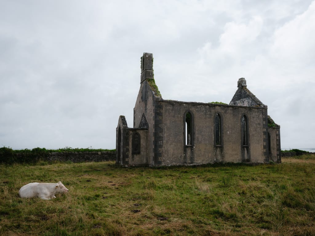 Ief 240725 Ierland 2661