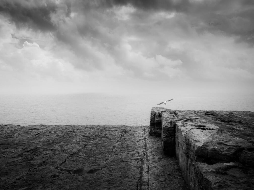 Seagull Flying Over The Ocean With Dramatic Clouds In The Background.