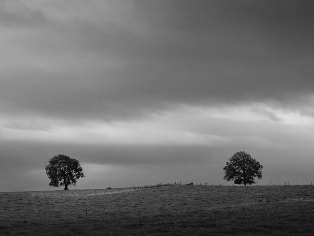 Ief 240801 Ierland 3291