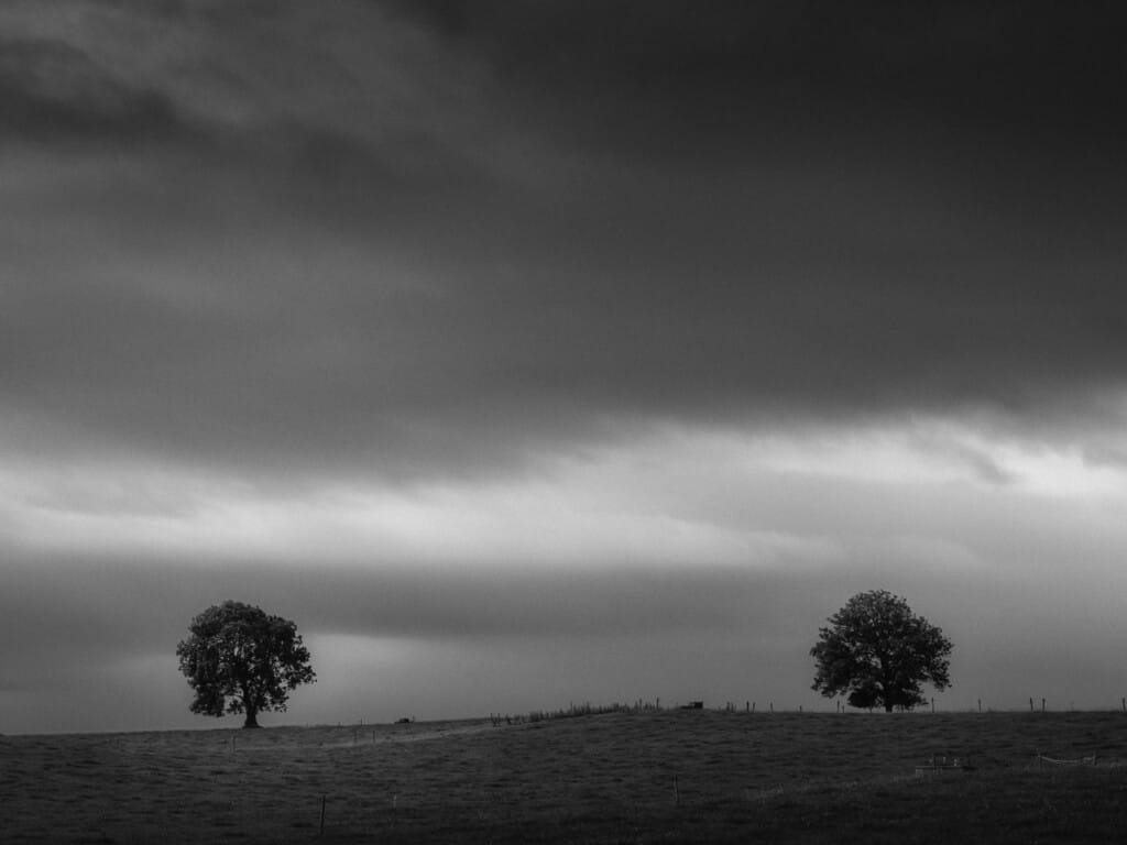 Ief 240801 Ierland 3291