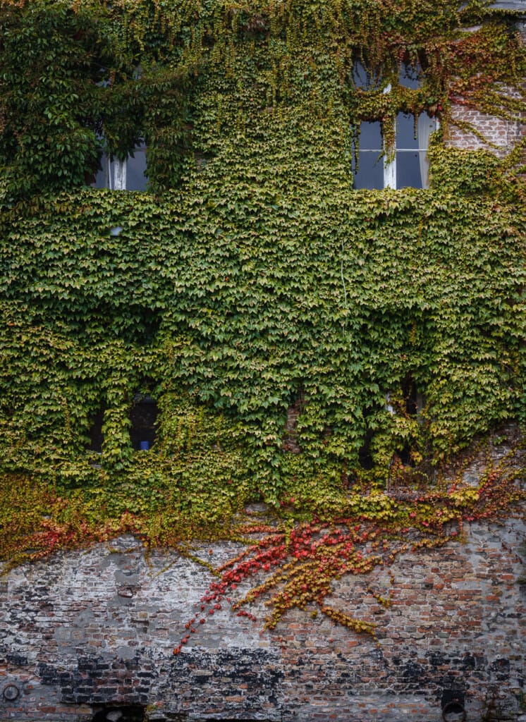 Ief 210911 Brugge 2626