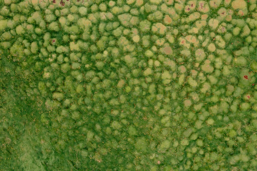 Ief 240730 Ierland 0222